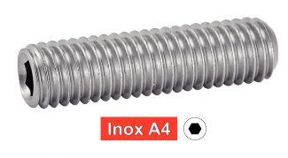 [ISO 4029] HEXAGON SOCKET SET SCREWS CUP POINT - STAINLESS STEEL A4 (SIMILAR DIN 916, NFE27-183, UNI 5929)