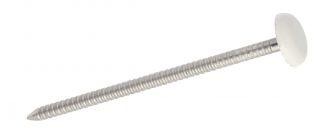 WHITE PLASTIC HEAD RINGED NAIL - STAINLESS STEEL A4