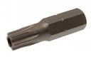 SECURITY SIX LOBES BITS - Steel