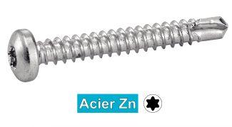 [DIN 7504 M] TORX PAN HEAD SELF DRILLING SCREWS - ZINC PLATED STEEL (SIMILAR ISO 15481)