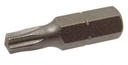 TORX BITS - STEEL