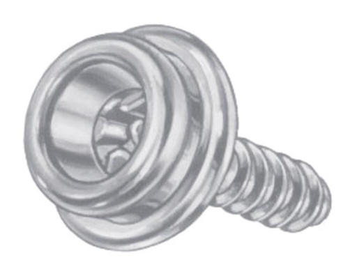 DURABLE-DOT STUD WITH WOOD SCREW - STAINLESS STEEL A2/BRASS