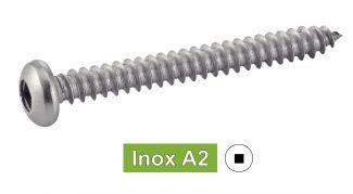 [DIN 7981] TORNILLOS ROSCA CHAPA CABEZA ALOMADA CON HUECO CUADRADO - ACERO INOXIDABLE A2 (SIMILAR ISO 7049, NFE25-658, UNI 6954)