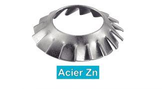 ARANDELAS DE ABANICO CON DENTADURA EXTERIOR CONCAVO TIPO AZV - ACERO ZINCADO
